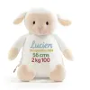 peluche personnalisée avec une broderie